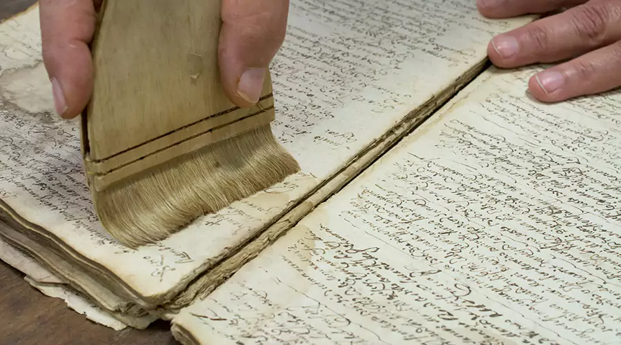 Document & Photo Recovery: How Pros Restore Paper After Water Damage