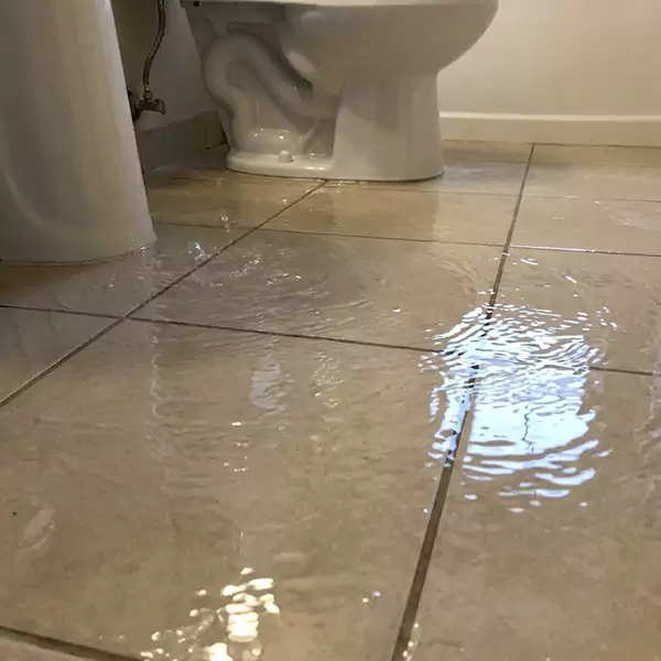 Expert Flooded Bathroom Restoration in Dallas, TX 