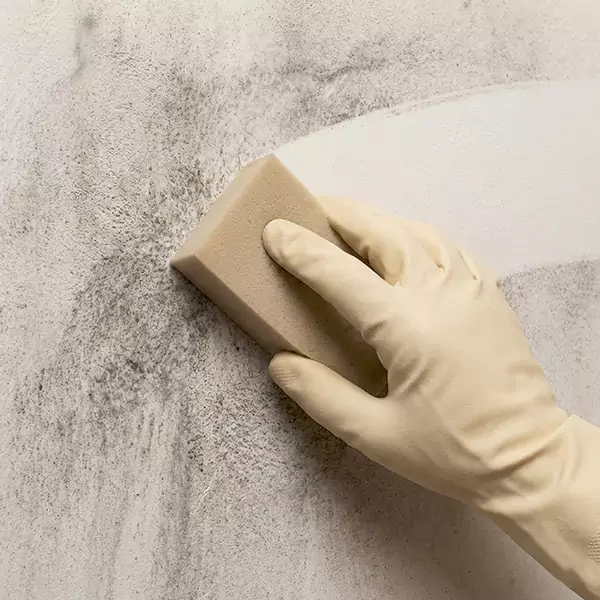 Smoke Cleaning in Dallas, TX 