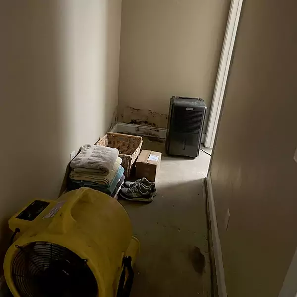 Expert Water Remediation in Dallas, TX 