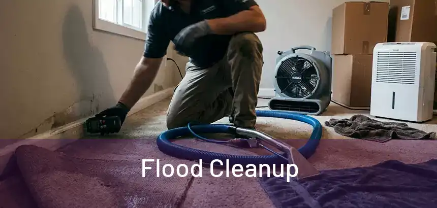  Flood Cleanup 