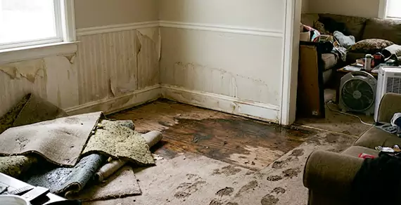 Why Choose Dallas Water Restoration Pro For Water Damage Restoration Services in Dallas, TX?
