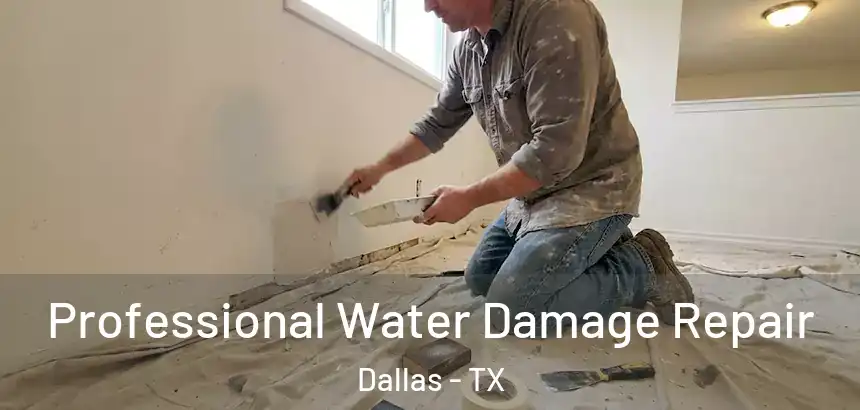 Professional Water Damage Repair Dallas - TX