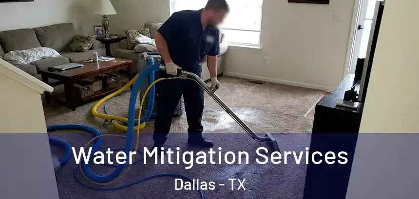  Water Mitigation Services Dallas - TX